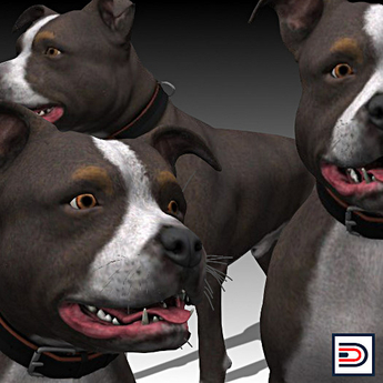 Second Life Marketplace - [Danielito] American Pitbull Terrier